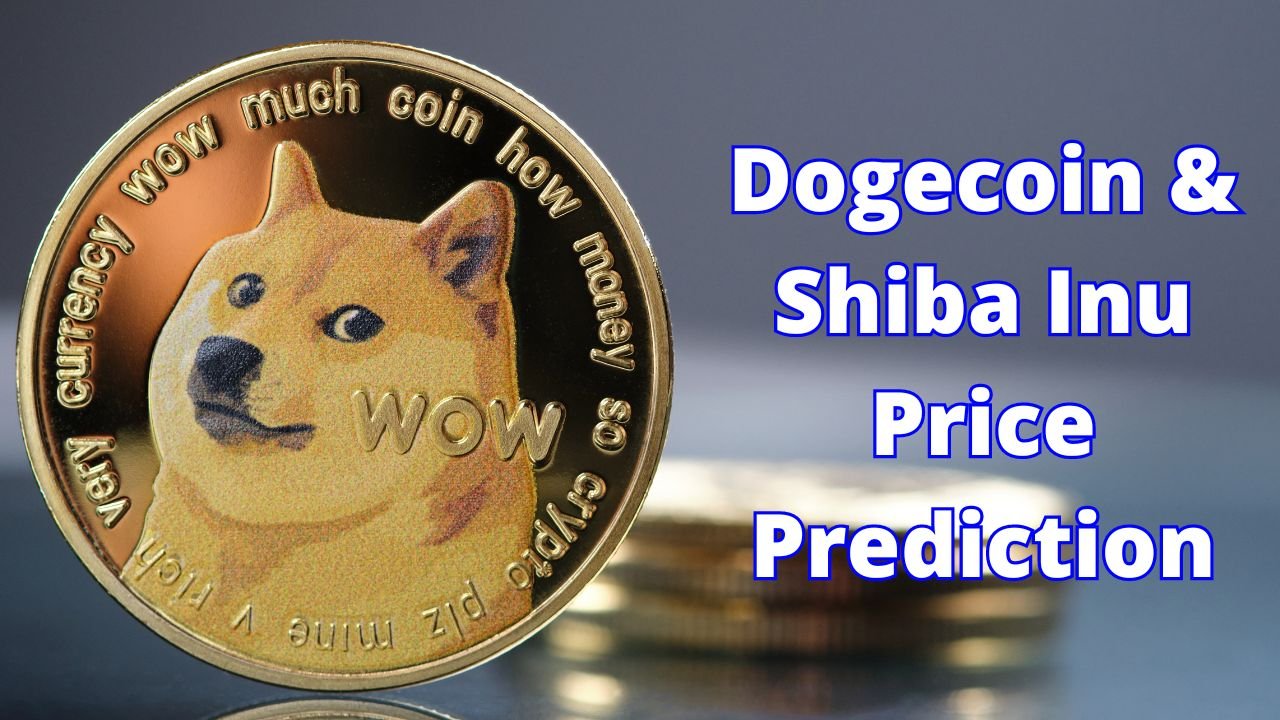 Dogecoin or Shiba Inu, will lose a zero from its price first?